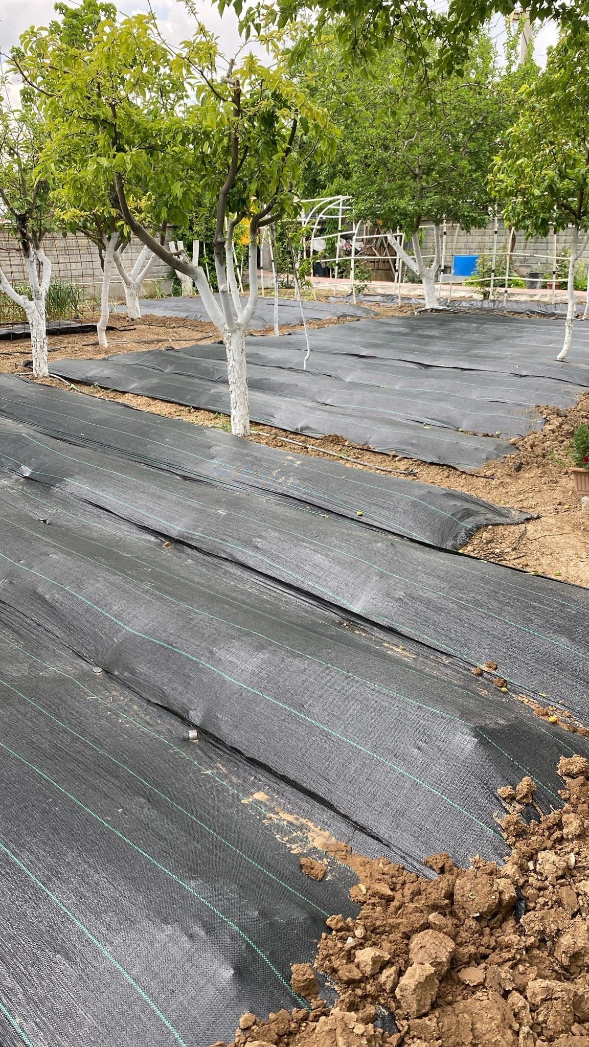 Yabani Ot ve Sera Taban Örtüsü - Siyah - 90 gram/m2 