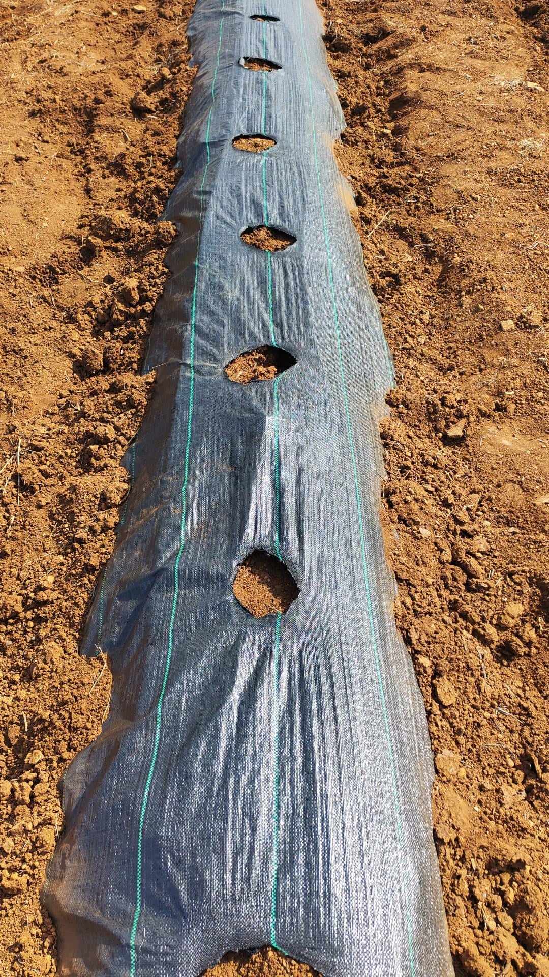 Yabani Ot ve Sera Taban Örtüsü - Siyah - 90 gram/m2 