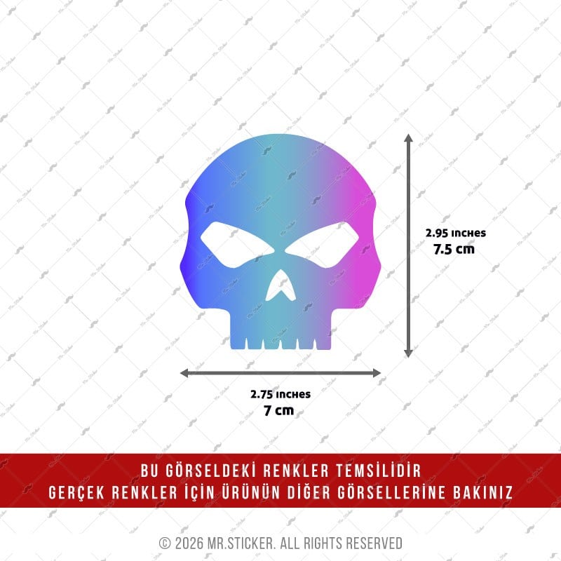 CSFT6 Renk Değiştiren Seri Kurukafa Etiketi