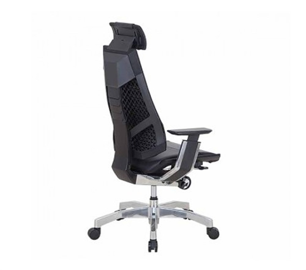 GENIDIA MAKAM KOLTUĞU