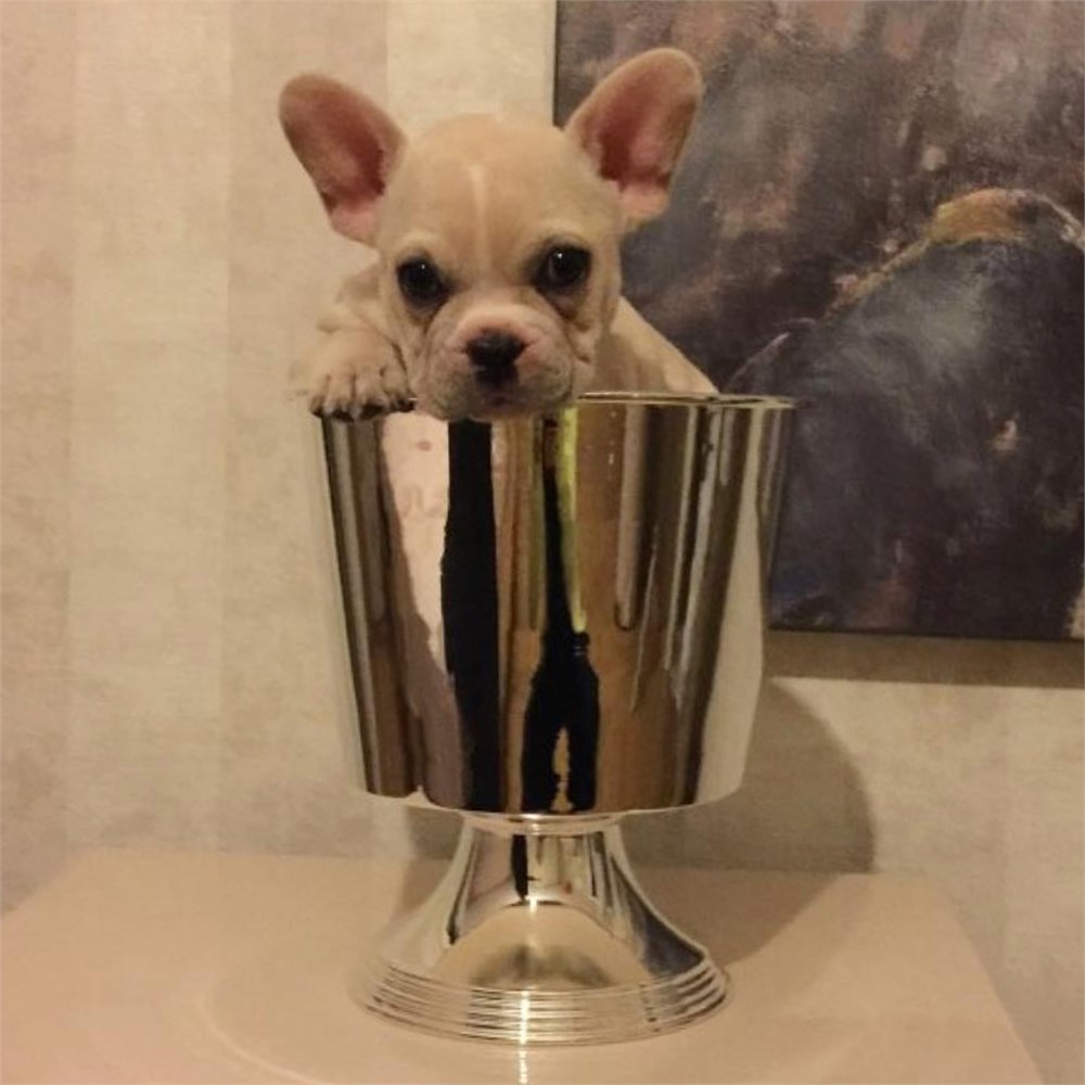 Ayaklı Vazo Saksı Kovası