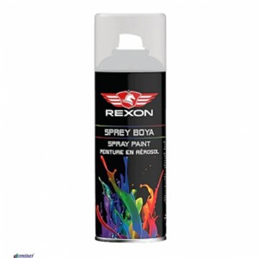 SPREY BOYA RAL 7035