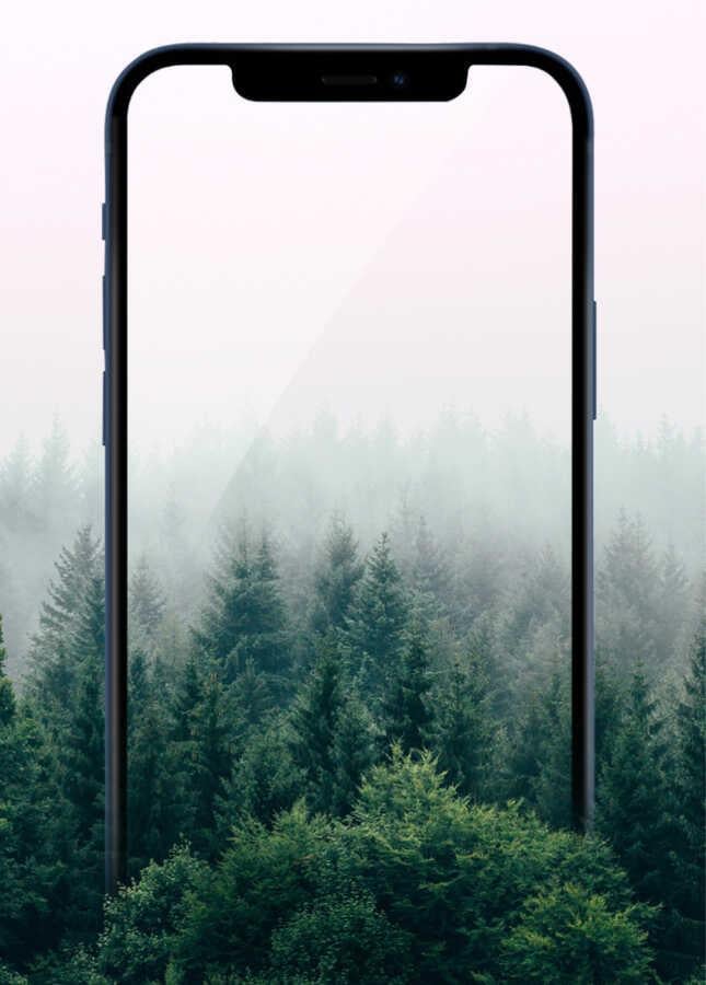 Apple iPhone 13 Pro Max Wiwu iPrivacy HD Anti-Peep Ekran Koruyucu