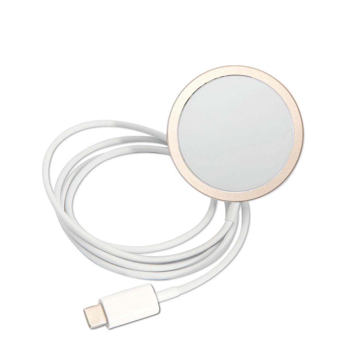 Apple iPhone 14 Pro Max Kılıf GUESS Magsafe Şarj Özellikli Yaprak Desenli Magsafe Şarj Kablolu Kapak