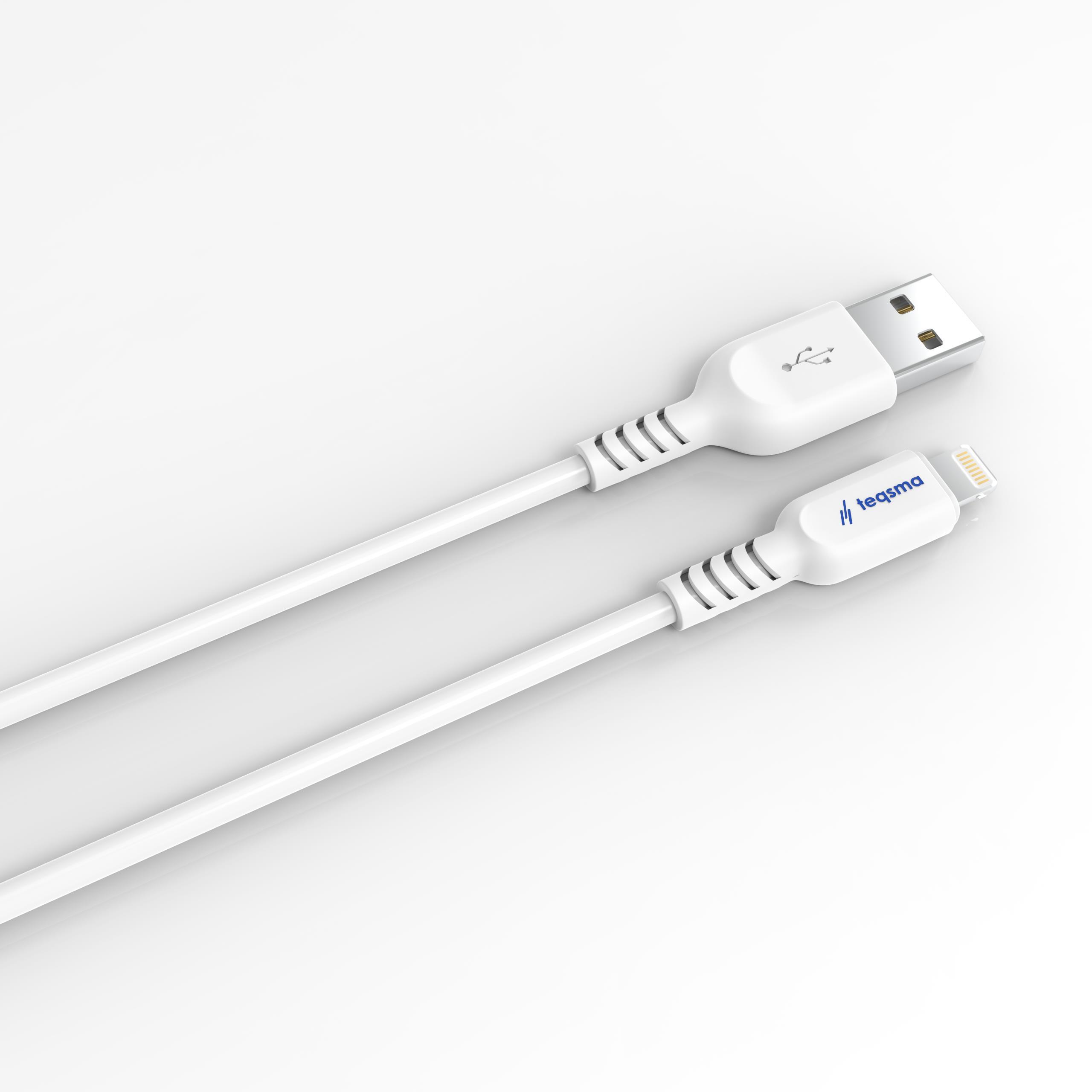 TEQSMA SPARK L3 Lightning - USB Kablo 3A 100Cm