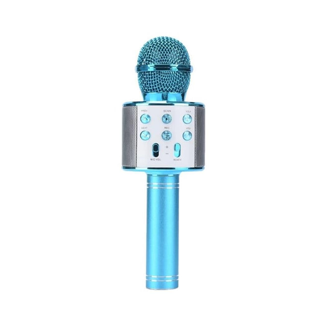 Subzero TV50 USB/AUX Girişli Karaoke Mikrofon