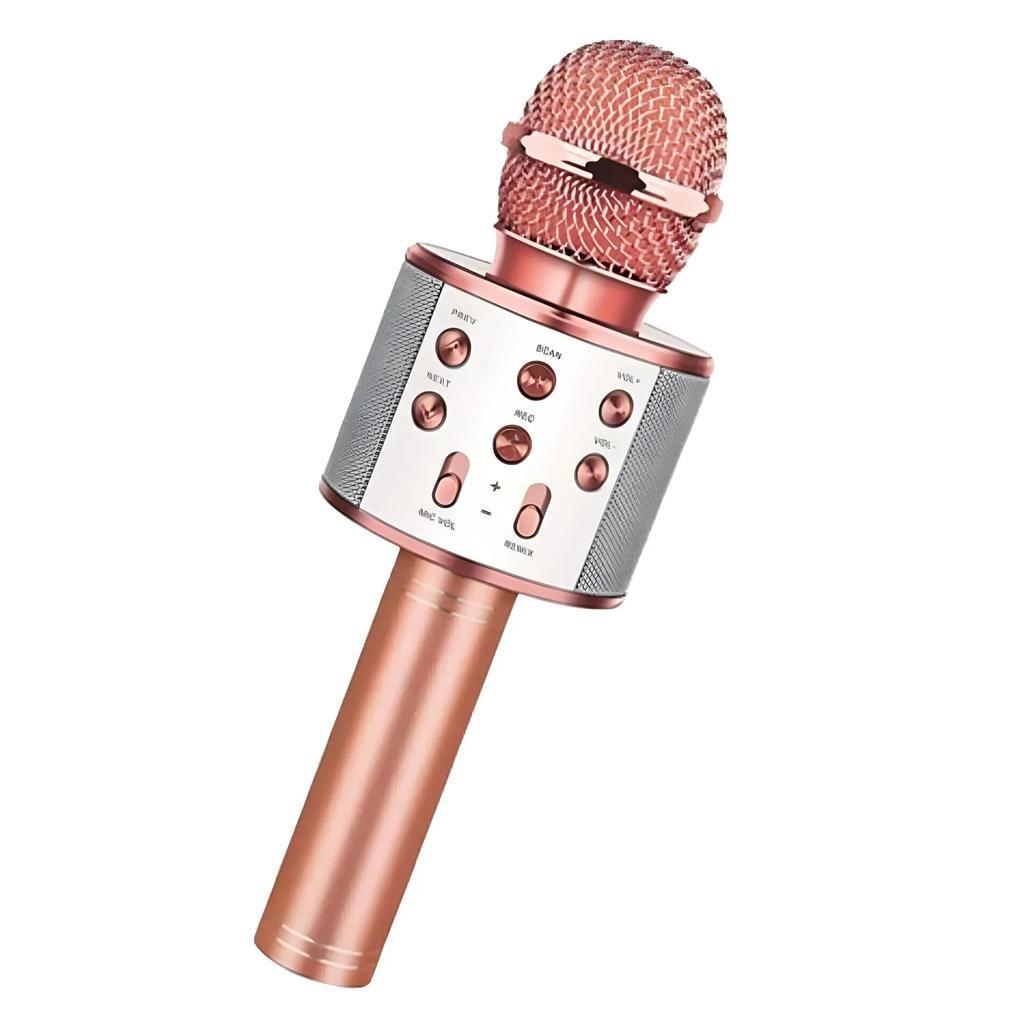 Subzero TV50 USB/AUX Girişli Karaoke Mikrofon