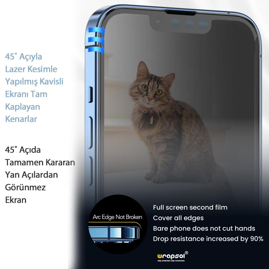 Wrapsol iPhone 15 Privacy Corning Glass Hizalama Aparatlı Ekran Koruyucu