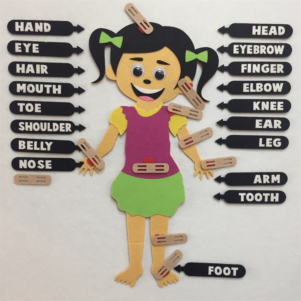 BODY PARTS / HASTALIKLAR 