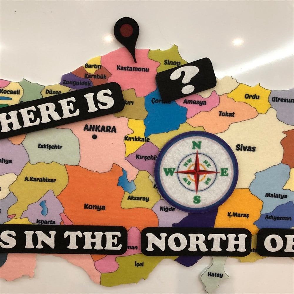DIRECTIONS (YÖNLER)