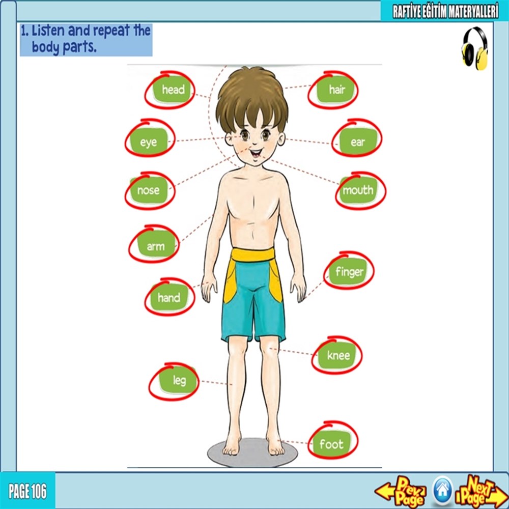 İLKOKUL 2. SINIF İNGİLİZCE SUNUM