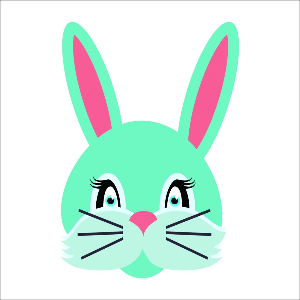 9 ADET PET MASK