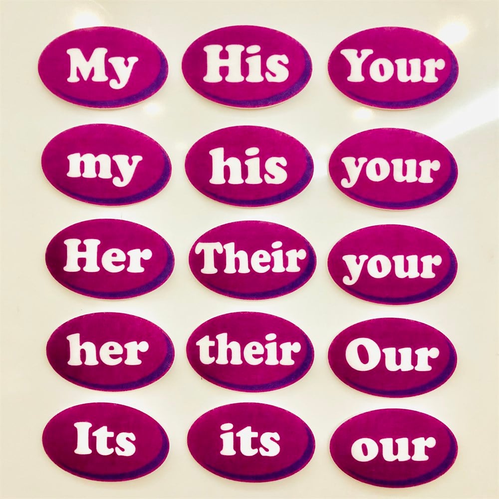 POSSESSIVE ADJECTIVES