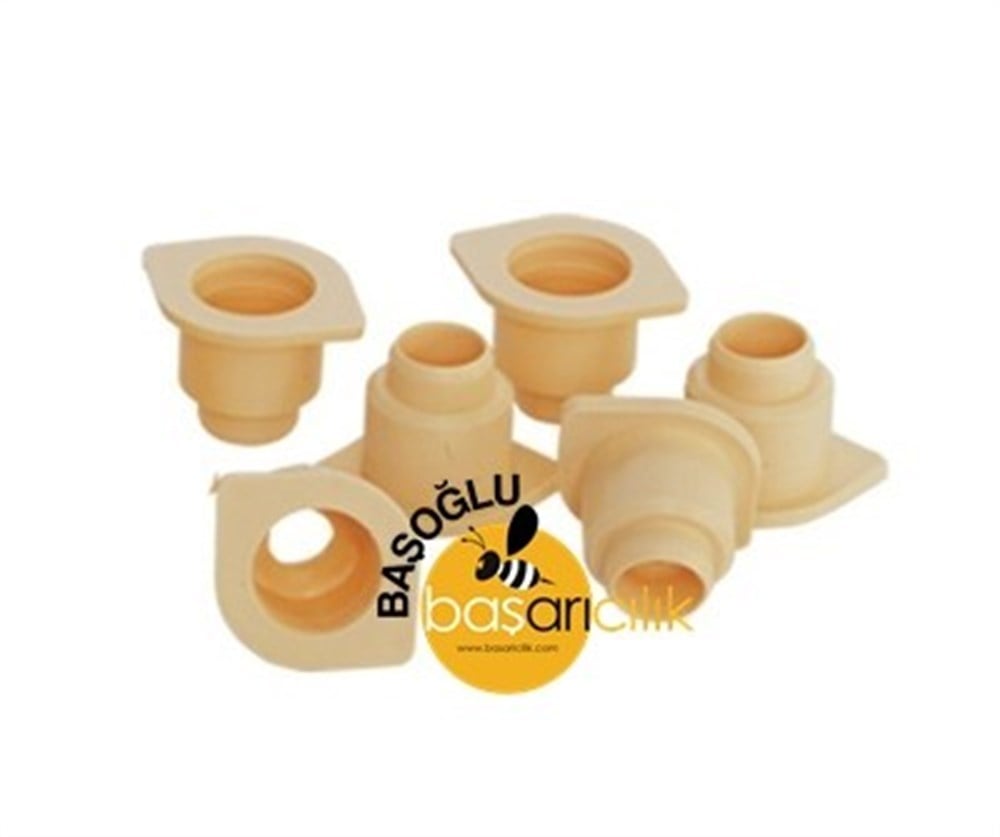 Yüksük Tabanı Alt