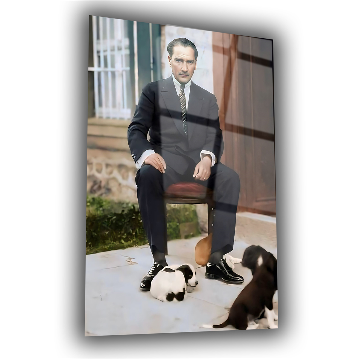 Dikey VatanTemalı Cam Tablo 135