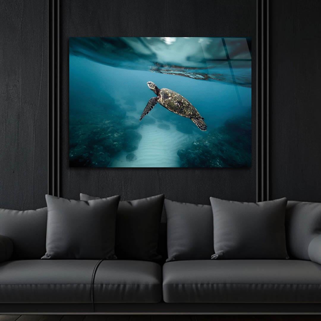Tempered Glasss Wall Arts Art-Themed