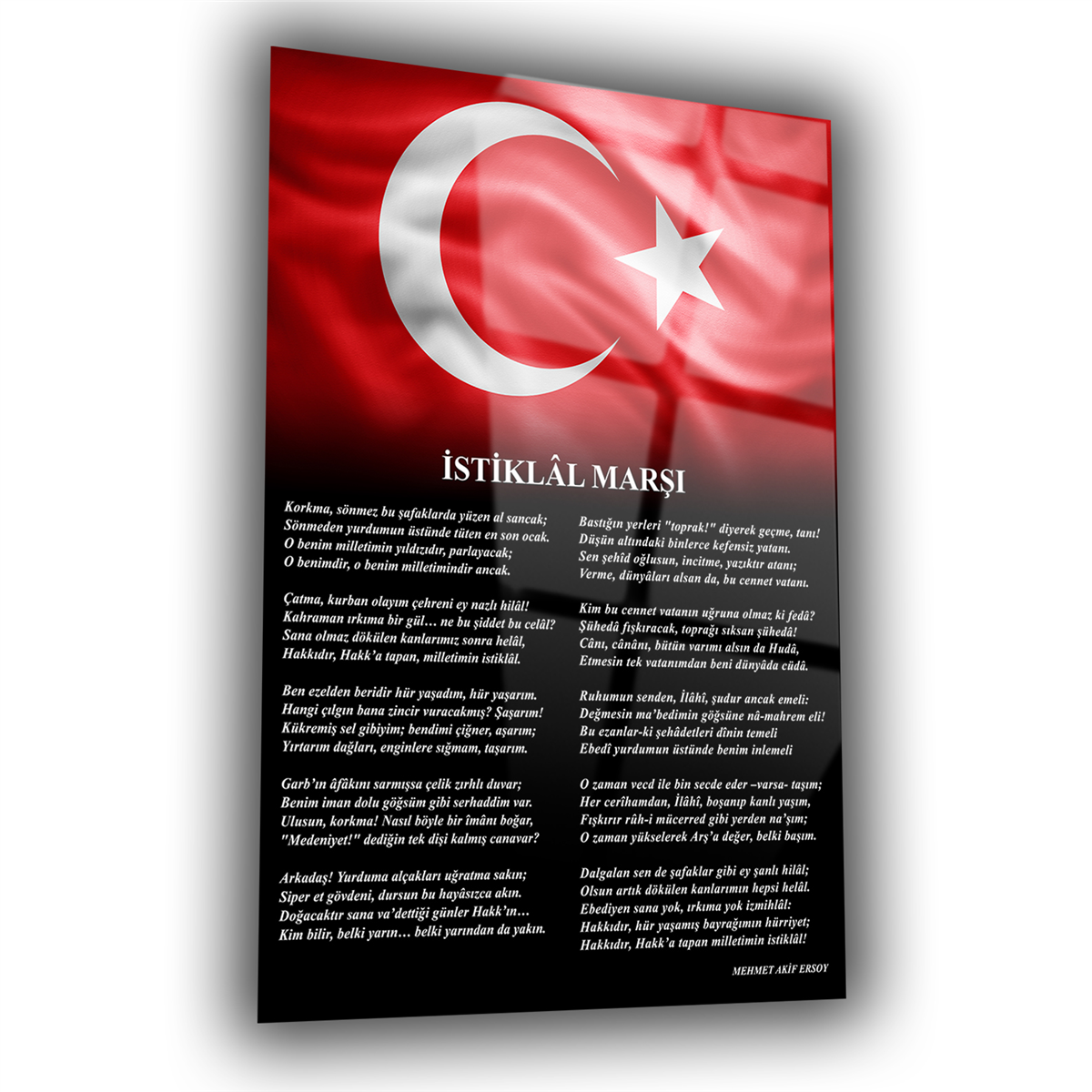 Dikey VatanTemalı Cam Tablo 187