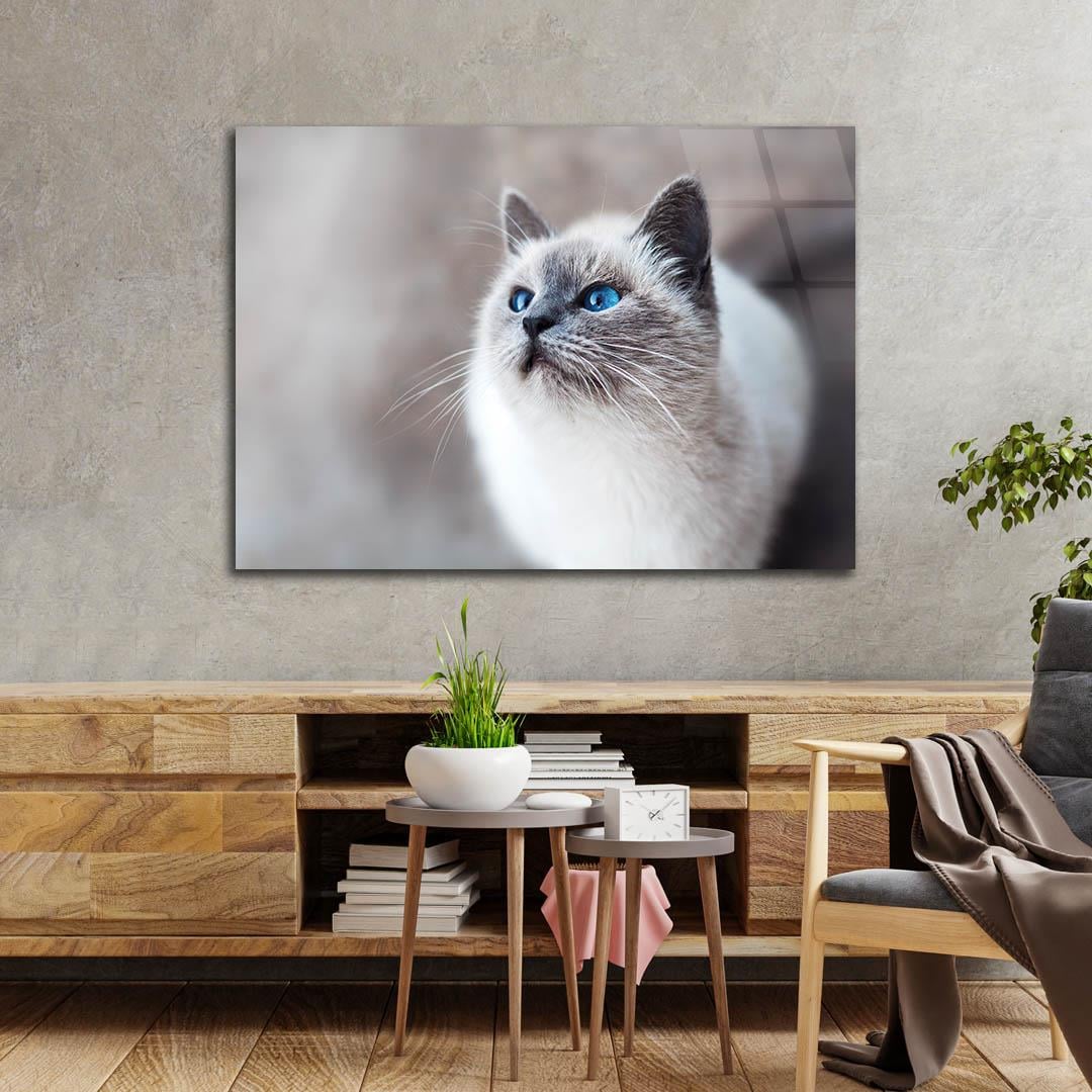 Tempered Glasss Wall Arts Art-Themed