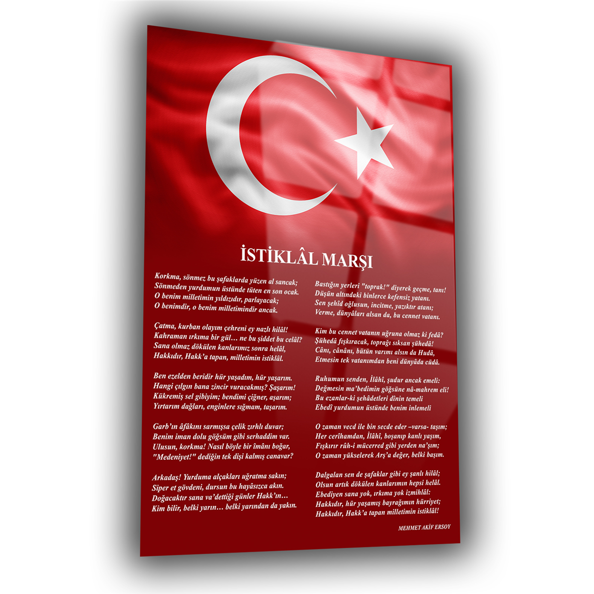 Dikey VatanTemalı Cam Tablo 186
