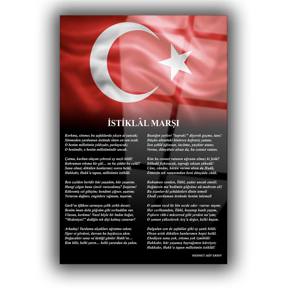 Dikey VatanTemalı Cam Tablo 187