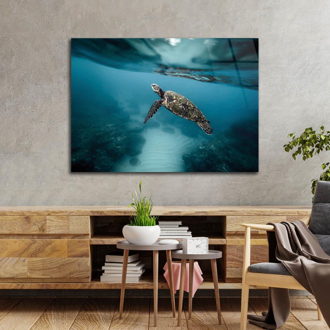 Tempered Glasss Wall Arts Art-Themed