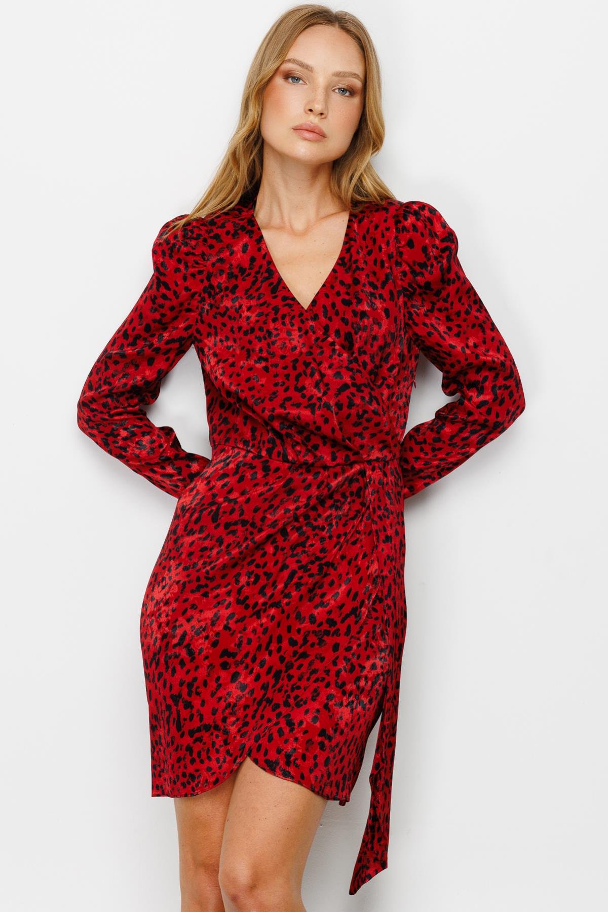 EKL ELBİSE 24K.EKL.ELB.05013.1