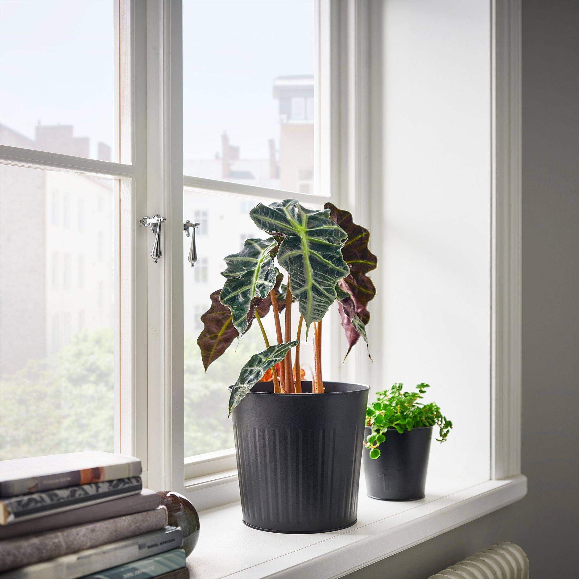 IKE CITRONMELISS ÇELİK SAKSI ANTRASİT 19 CM 20562508