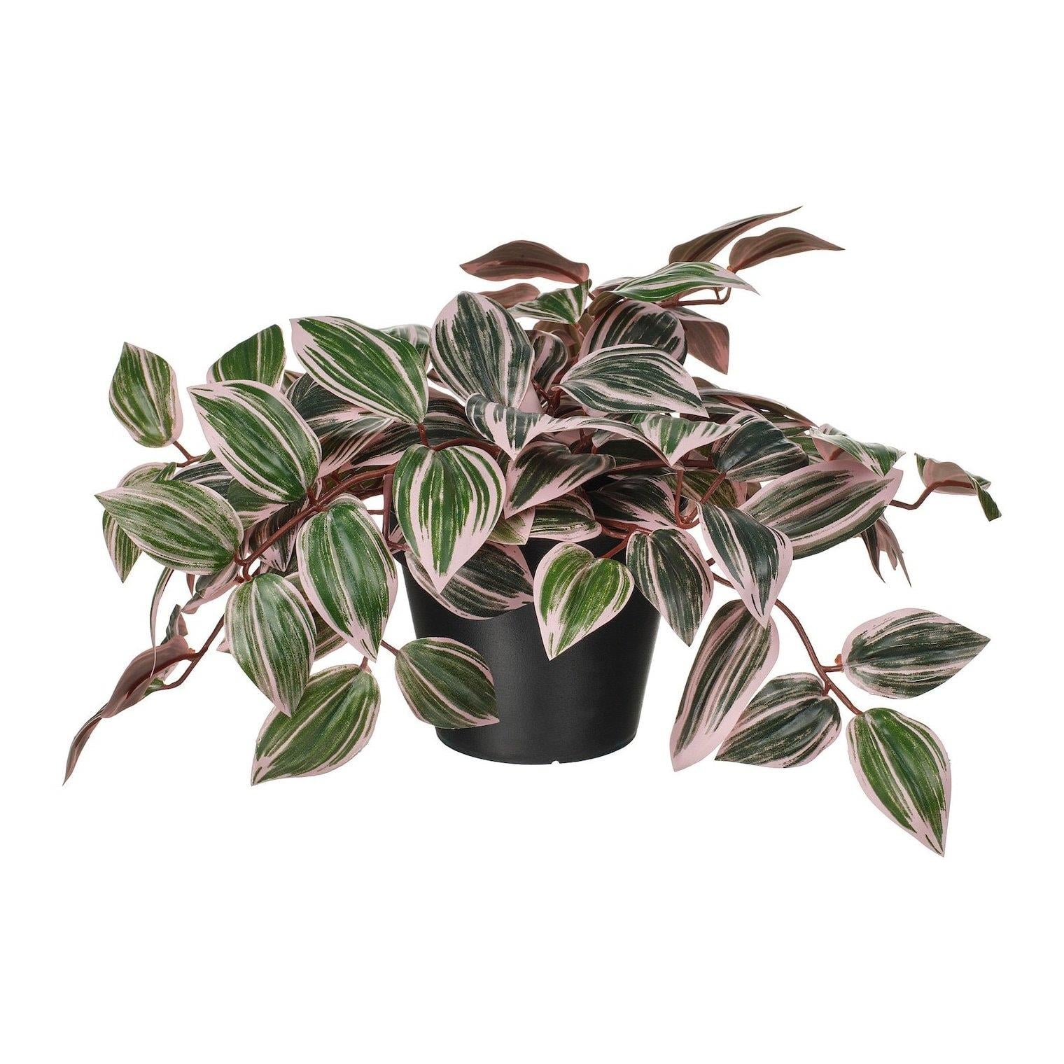 IKE FEJKA YAPAY BİTKİ YEŞİL12 CM TRADESCEANTİA 50600858