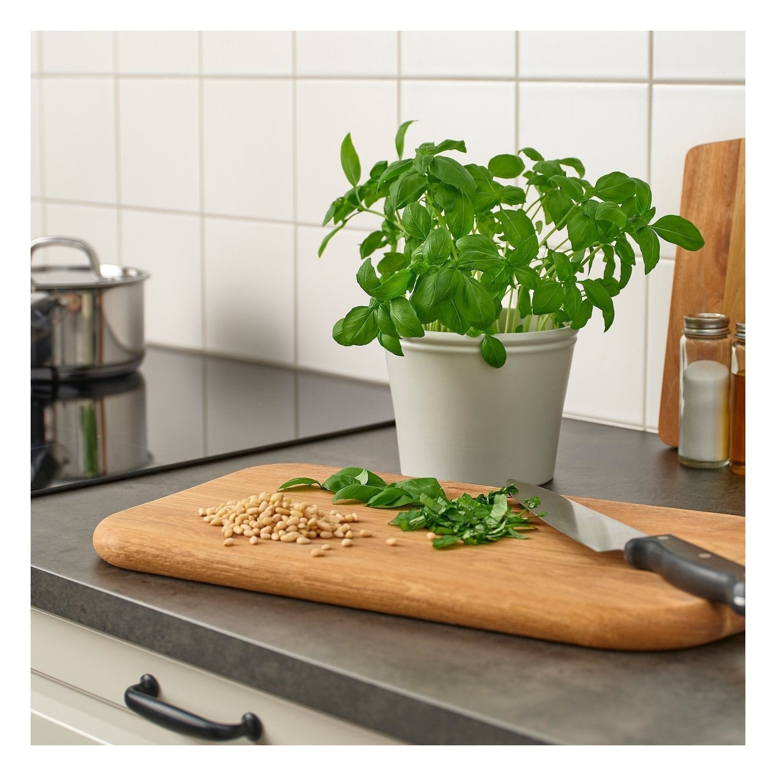 IKE KÖRSBARSBJÖRK TOPRAK SAKSI AÇIK GRİ-BEJ 12 CM 00591719