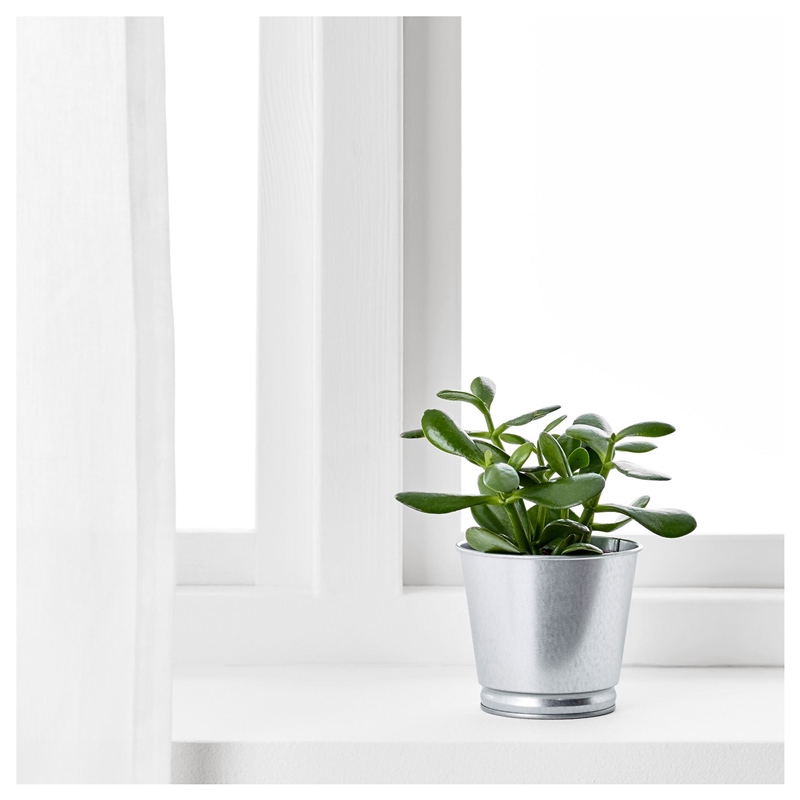 Ikea Bıntje Saksı Galvanizli 9 cm 80334127