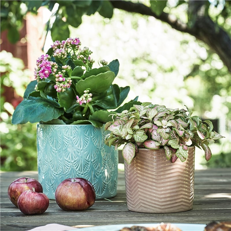 Ikea Chıafrön Saksı Açık Pembe 9 cm 30483365