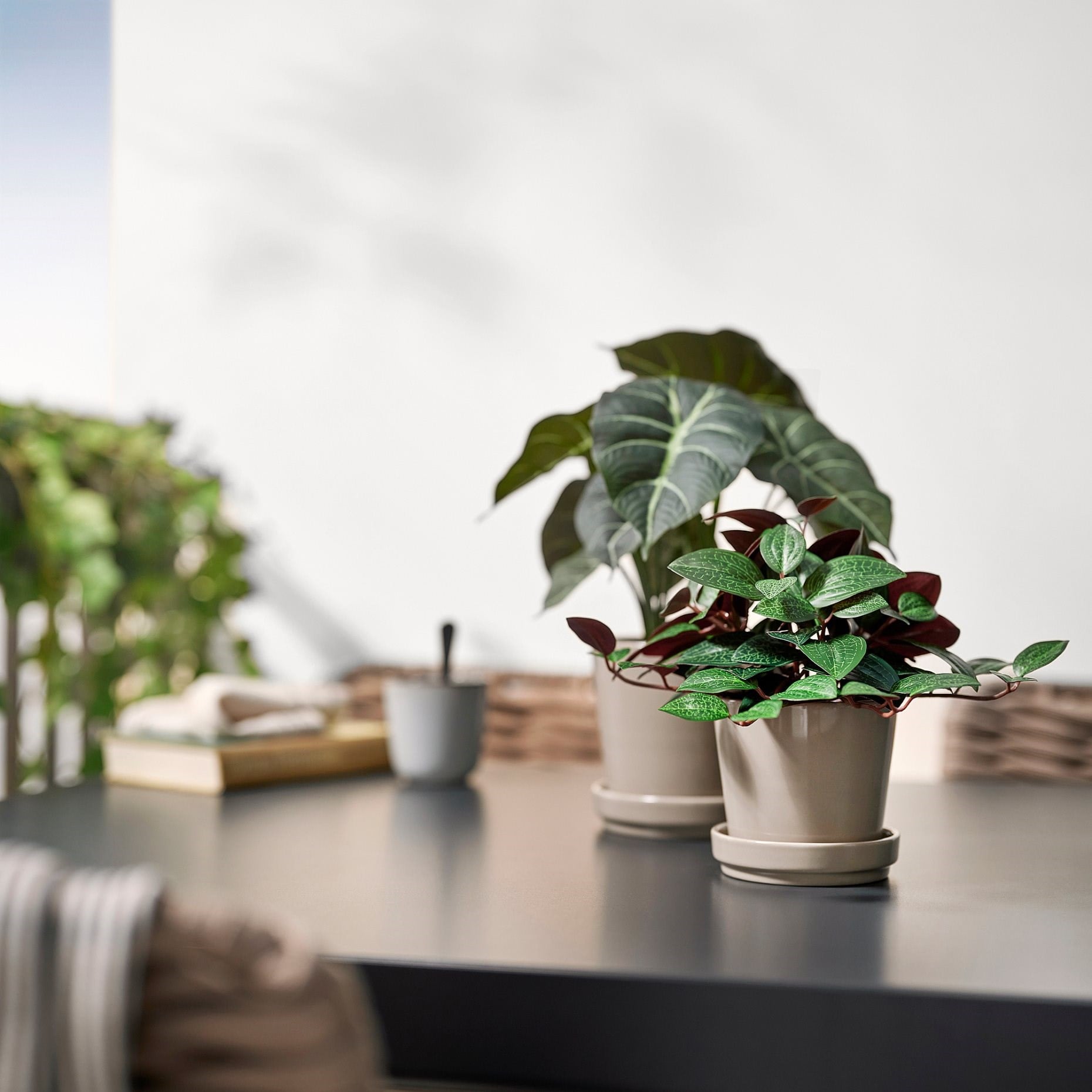 Ikea Fejka Yapay Bitki Yeşil 9 Cm Mücevher Orkidesi 40600868