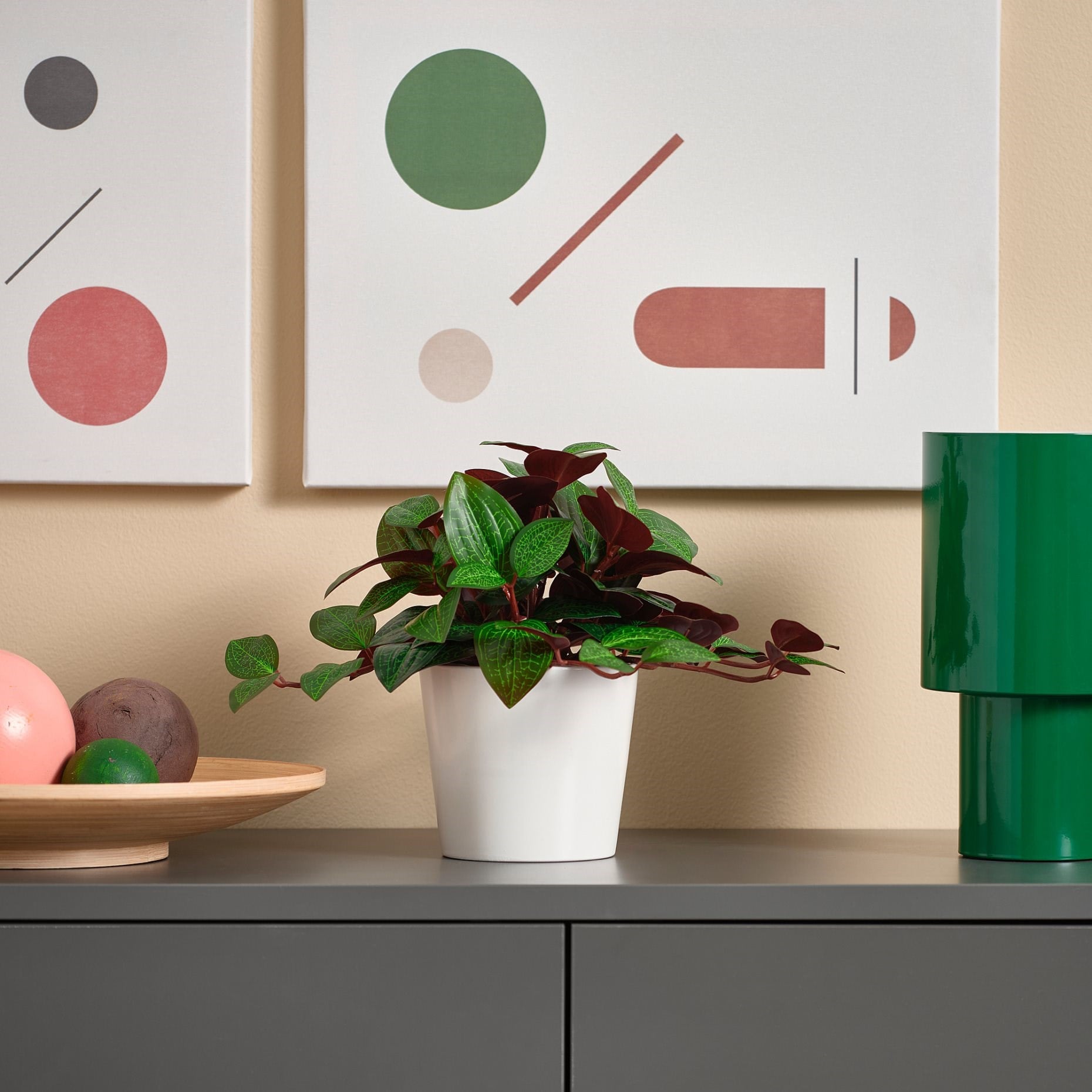 Ikea Fejka Yapay Bitki Yeşil 9 Cm Mücevher Orkidesi 40600868