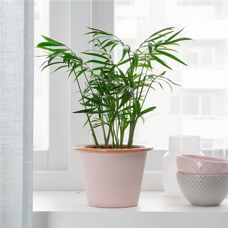 Ikea Fnıttrıg Saksı Pembe 9 cm 00479534