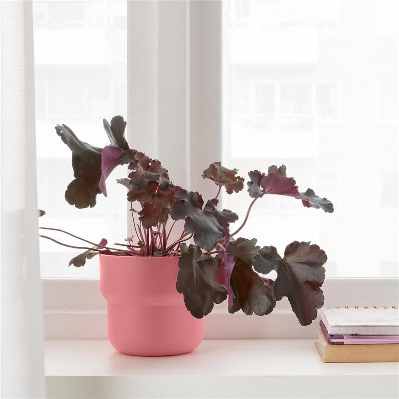 Ikea Förenlıg Plastik Saksı Pembe 12 Cm 00535993