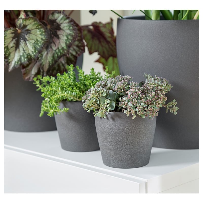 Ikea Persıllade Koyu Gri Saksı 12 cm 00315726