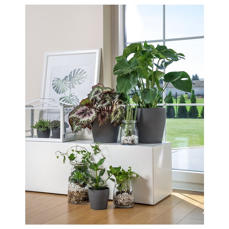 Ikea Persıllade Koyu Gri Saksı 12 cm 00315726