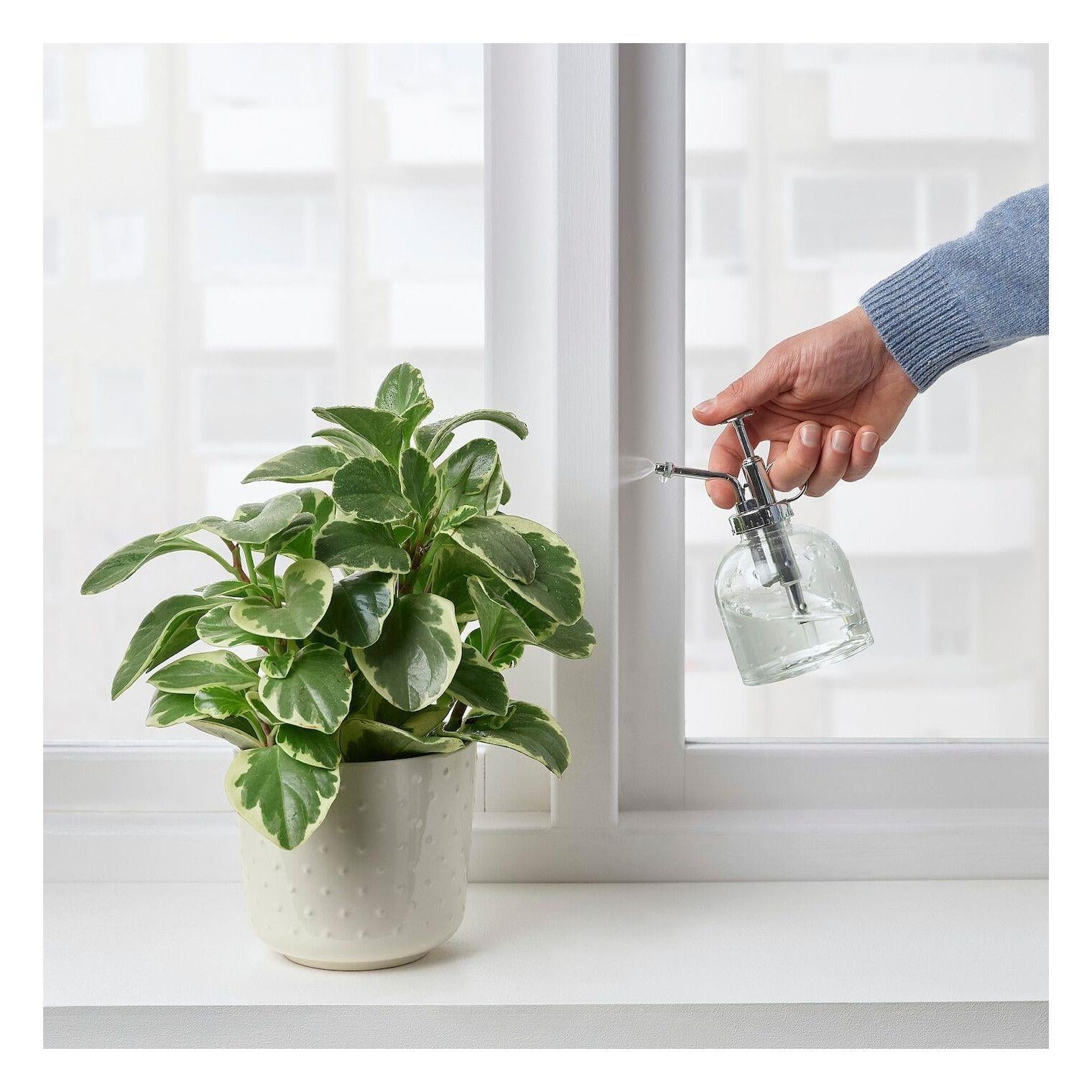 Ikea Sesamfrön Sprey Şişesi 25 cl 20488189