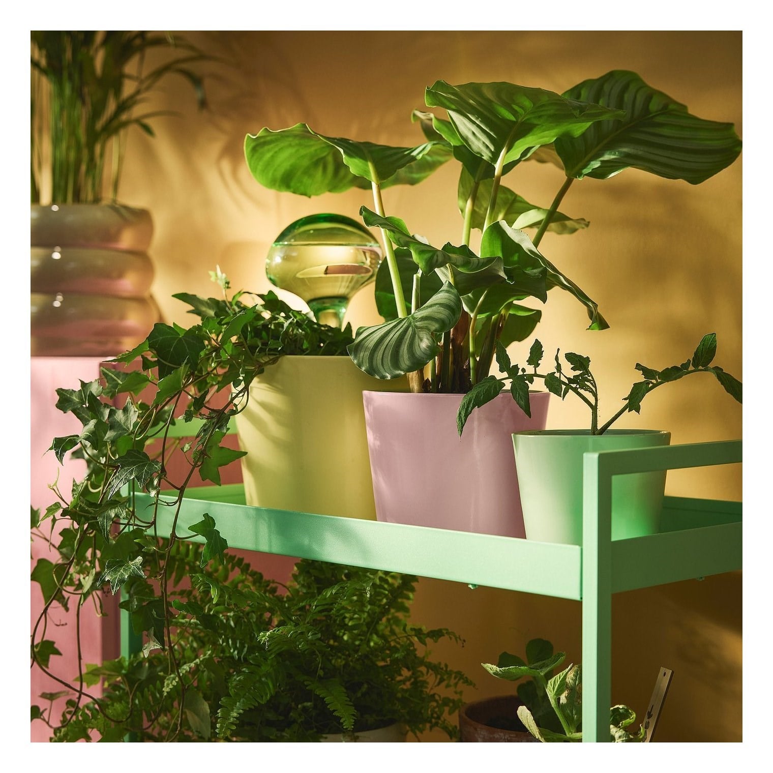 Ikea Sojaböna Toprak Saksı Açık Pembe 12 Cm 60611941