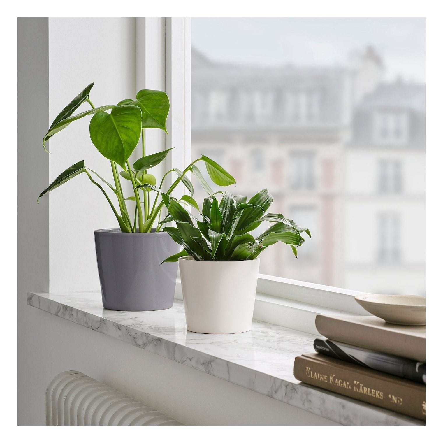 Ikea Sojaböna Toprak Saksı Beyaz 9 Cm 00533574