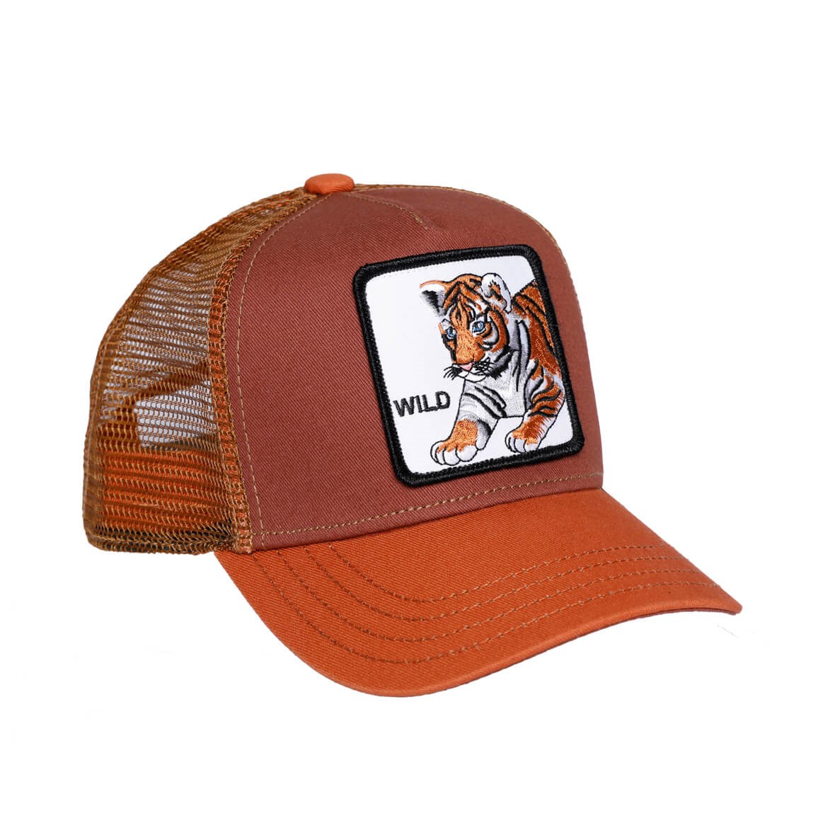 Goorin Bros Çocuk Şapka - Wild Tiger