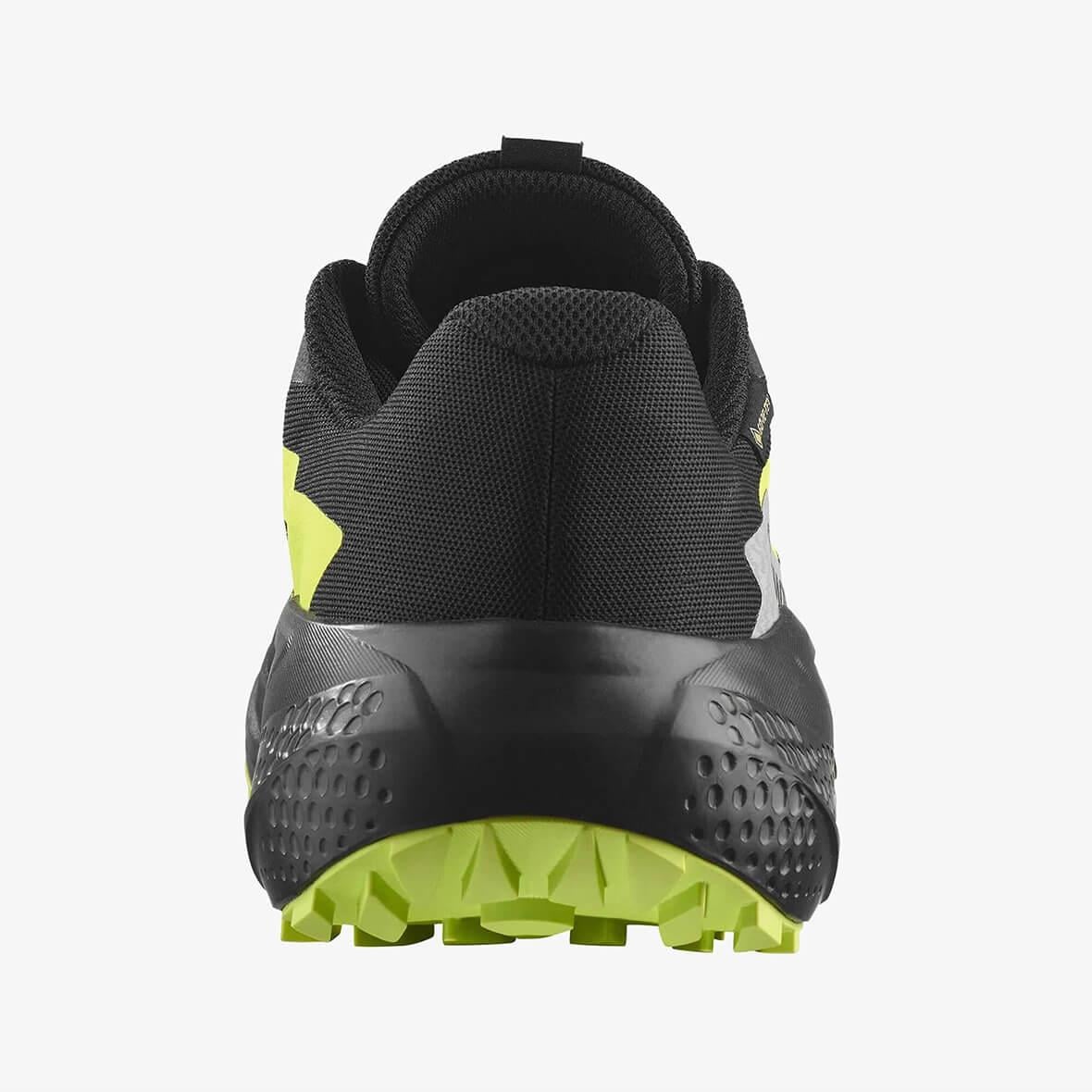 Salomon Alphaglide GTX Gore-Tex Erkek Koşu Ayakkabısı - Siyah