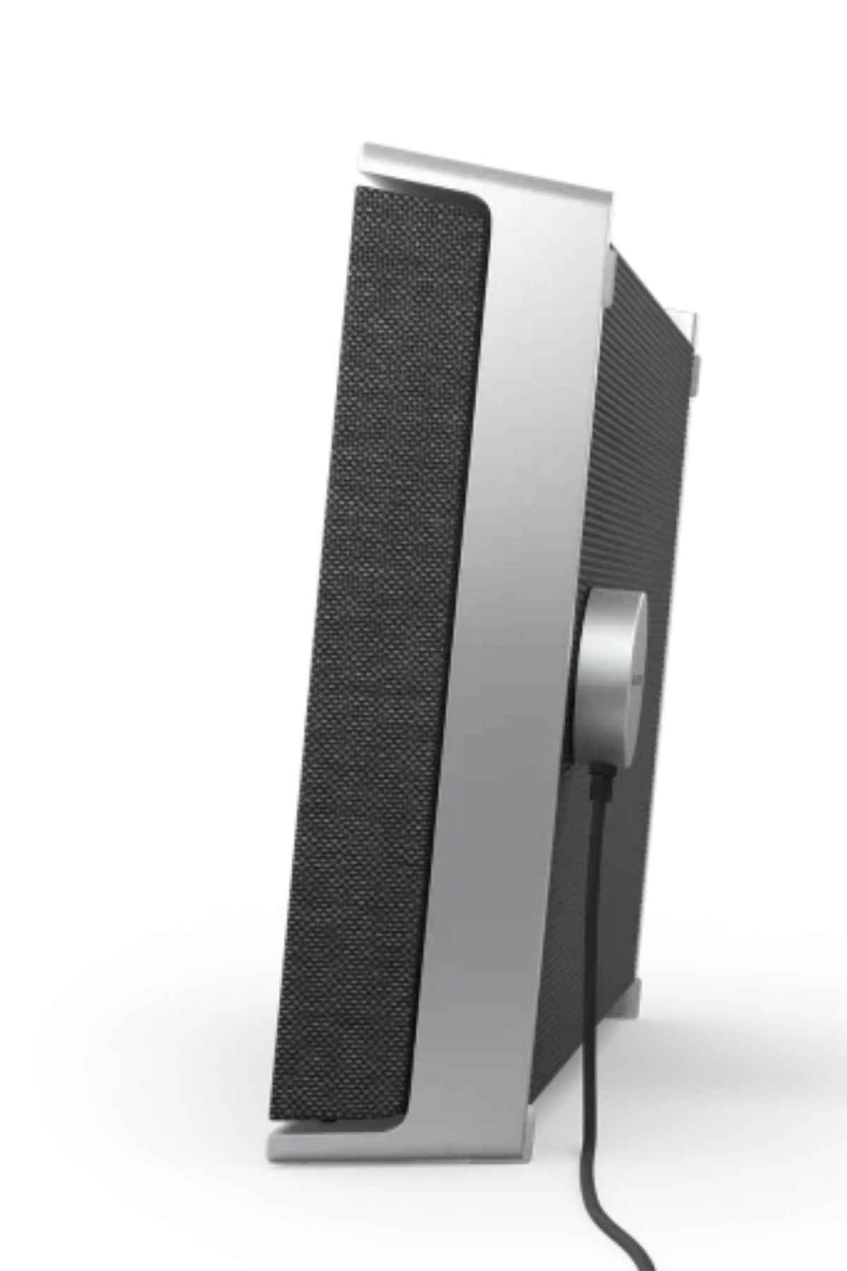 Bang & Olufsen Beosound Level Natural Taşınabilir Hoparlör