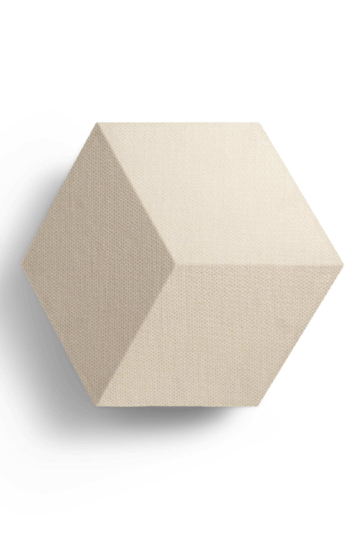 Bang & Olufsen BeoSound Shape Tasarım Hoparlör
