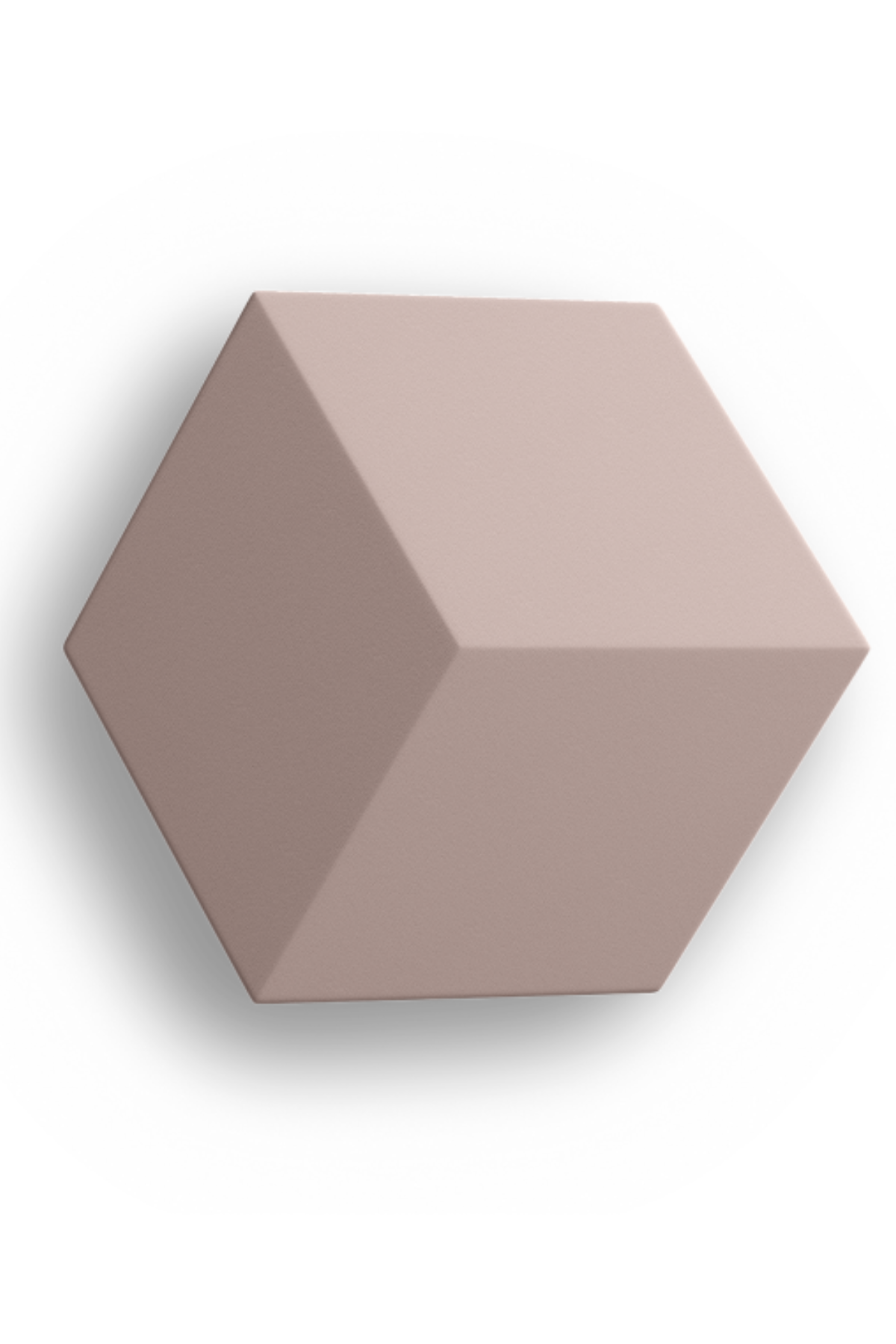 Bang & Olufsen BeoSound Shape Tasarım Hoparlör