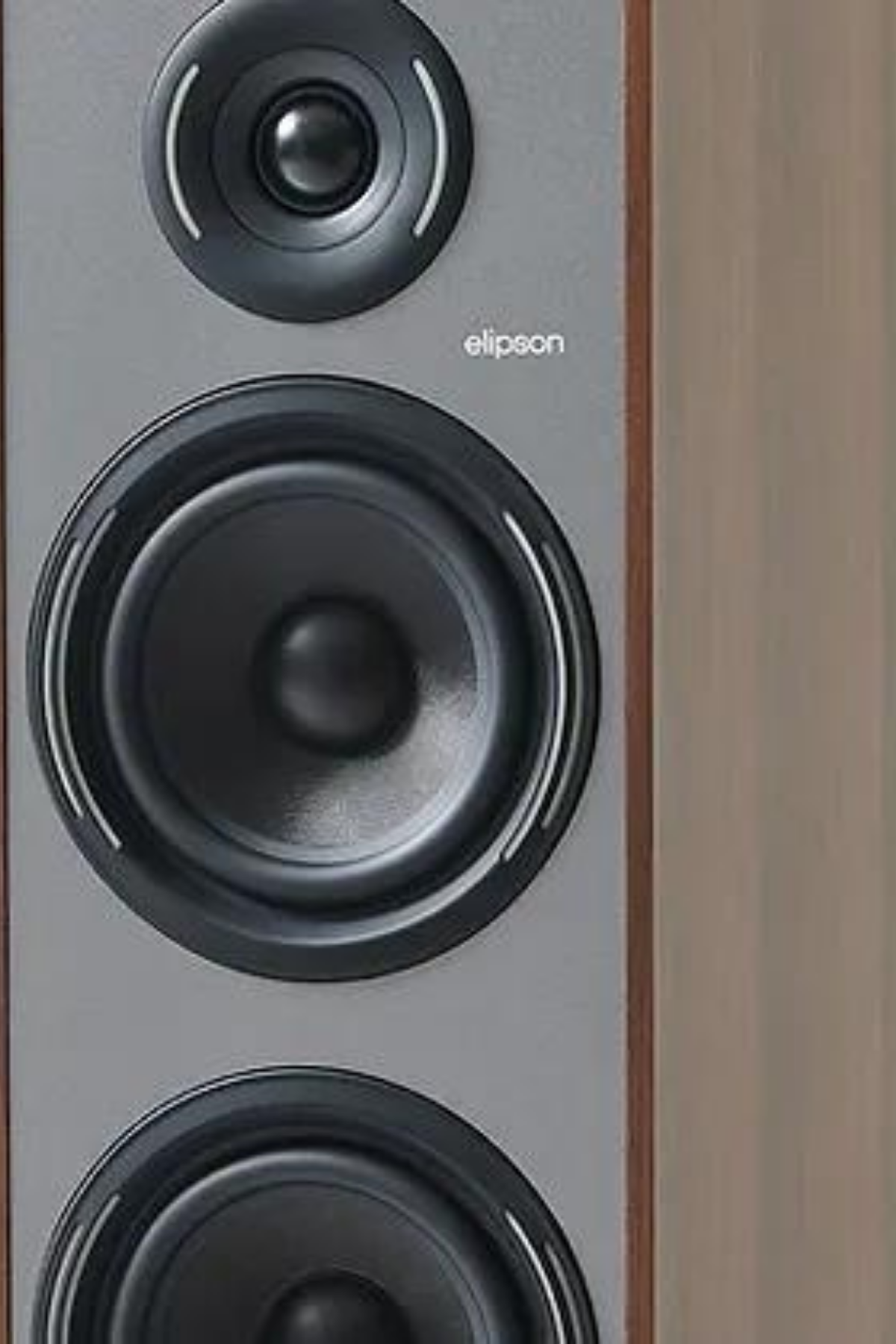Elipson Horus 11F Ceviz Koyu Gri Hoparlör
