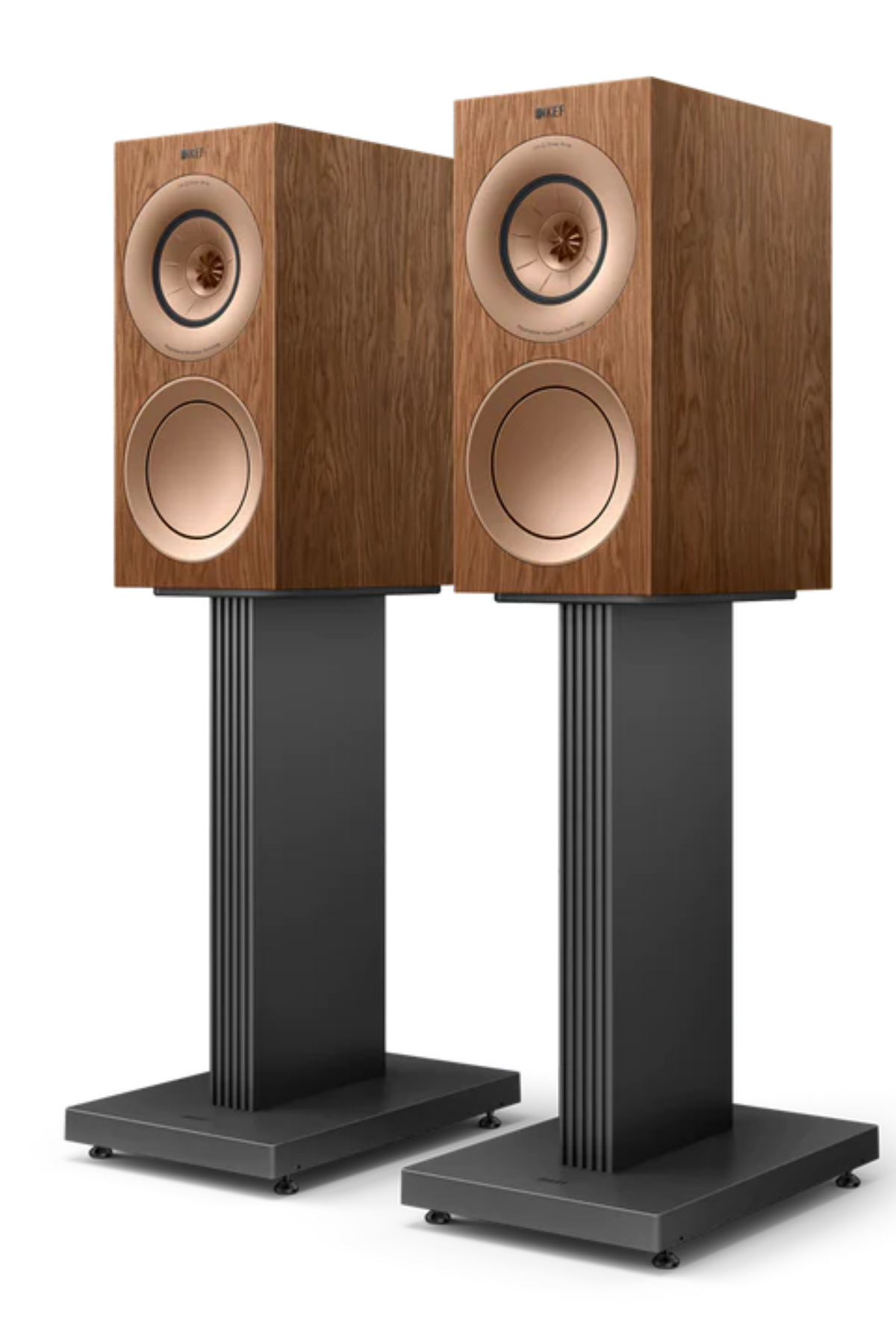 Kef R3 Meta Ceviz Hi-Fi Raf Tipi Hoparlör