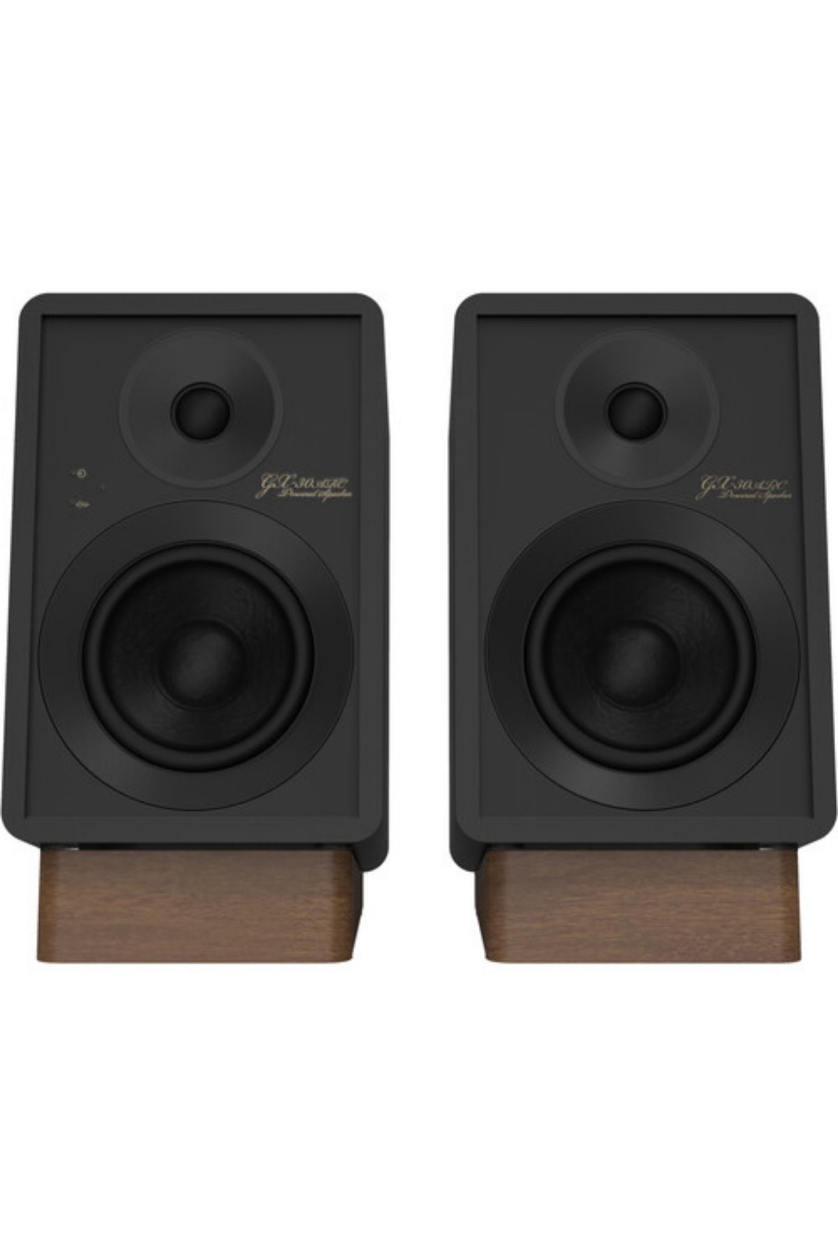 Onkyo GX-30ARC Bluetooth Aktif Hoparlör Siyah