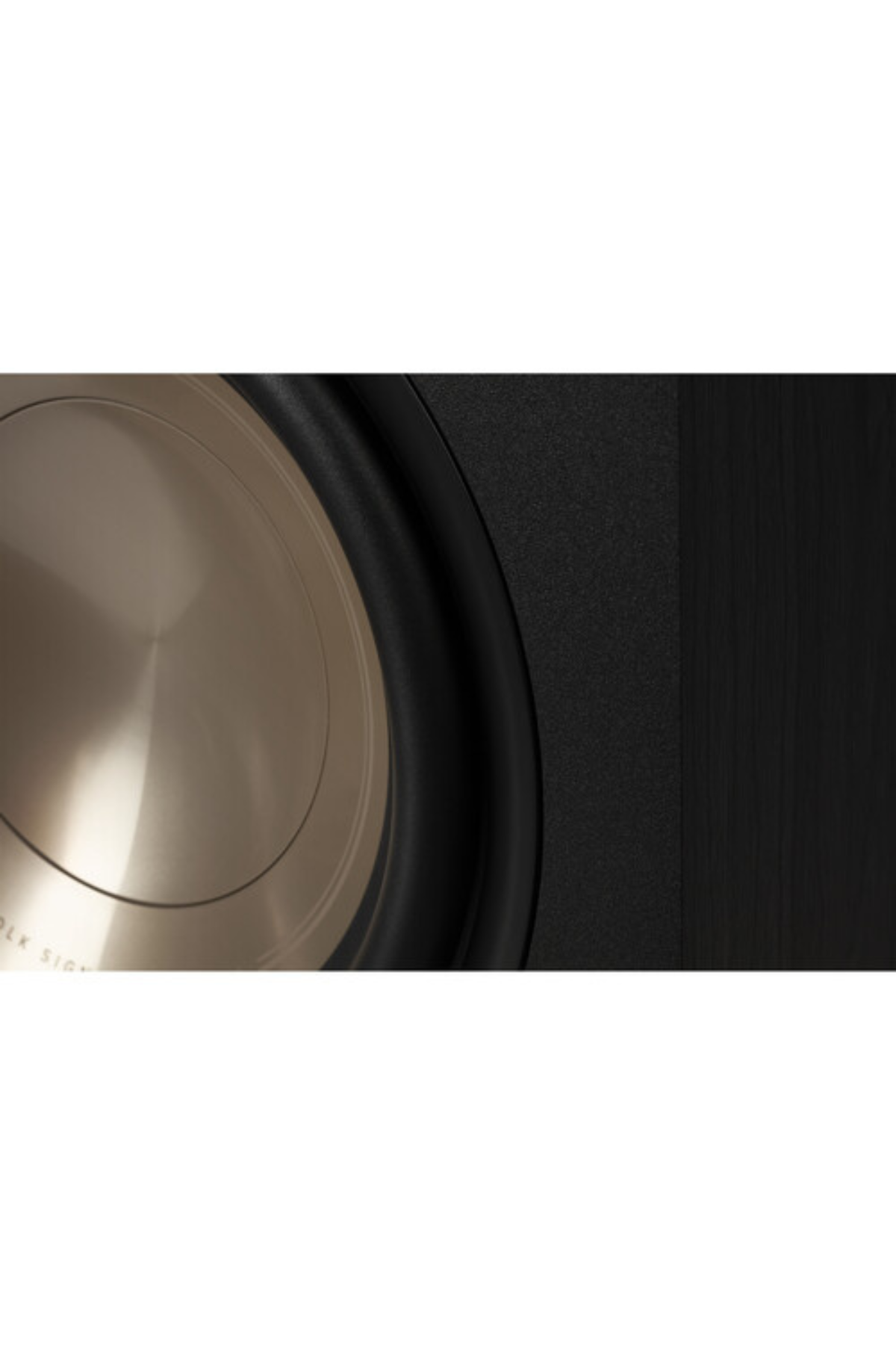 Polk Audio Signature Elite ES10 Subwoofer Siyah