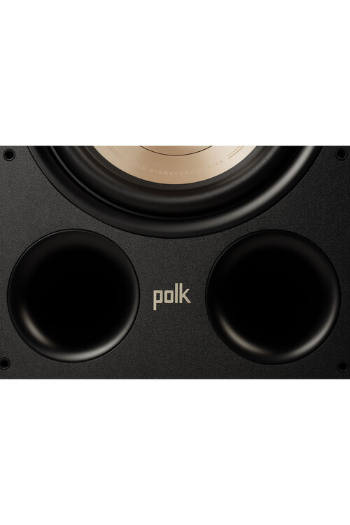 Polk Audio Signature Elite ES10 Subwoofer Siyah